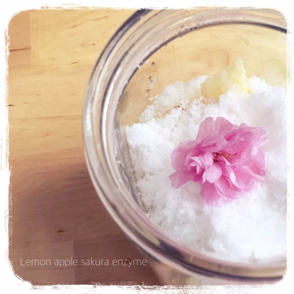 Snapdishの料理写真:Lemon Apple Sakura enzyme|purplecloudさん