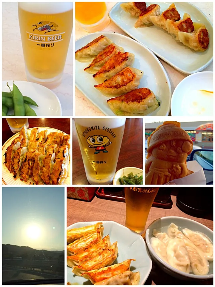 用事ついでに宇都宮餃子🍻|ぷっくりんこ💙さん