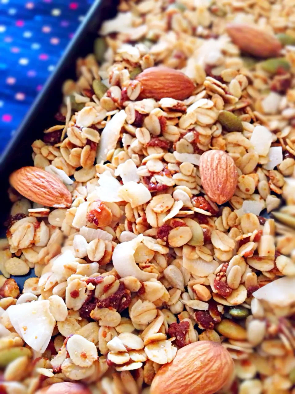 Salted Gula Melaka granola|coxiella24さん