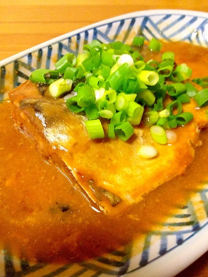 Snapdishの料理写真:鯖の味噌煮🐟ネギだく|まいりさん