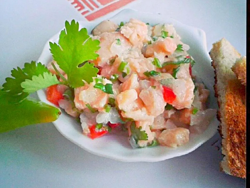 ceviche de salmon|Sabores del Fuegoさん