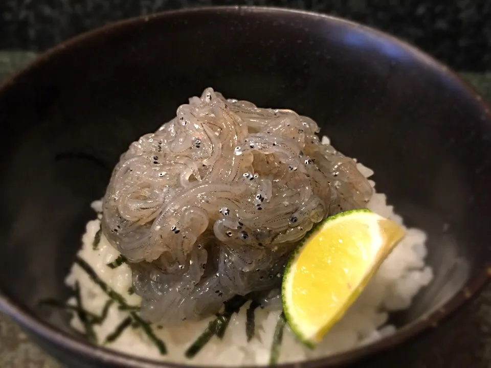 Snapdishの料理写真:久しぶりの生しらす丼♪|Shigeruさん