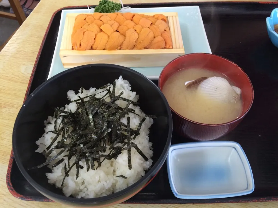 ウニ丼|さくらさん