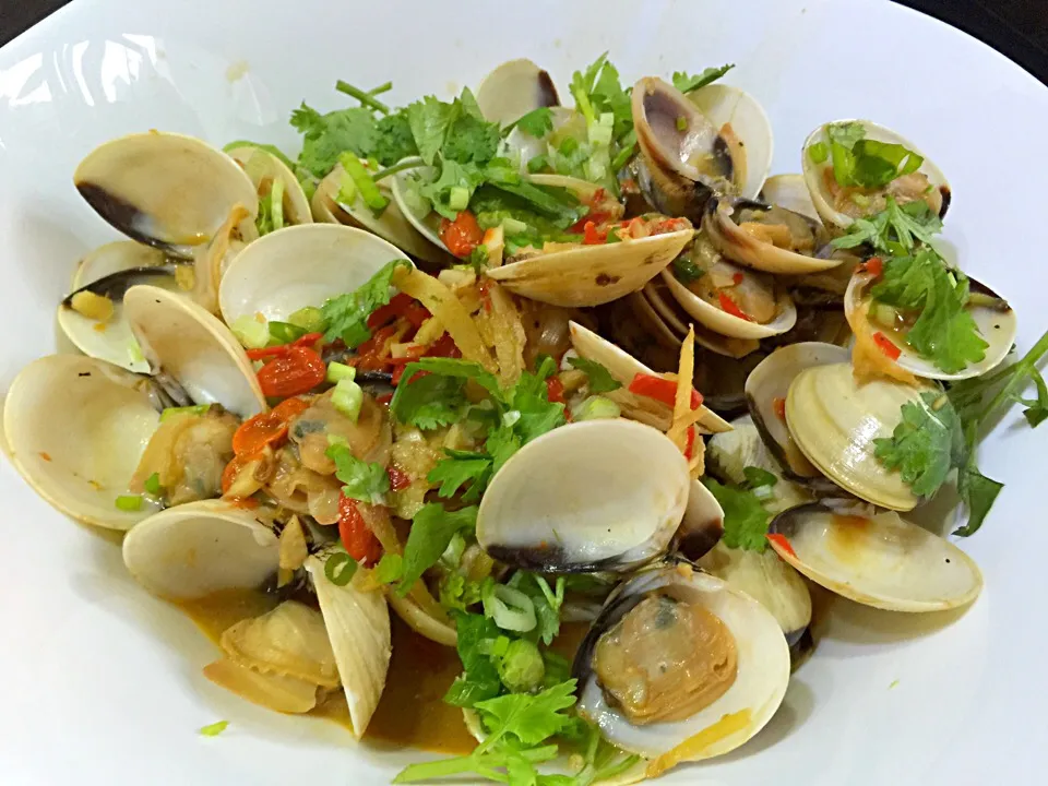 Miso Clams|Colleen Teoさん