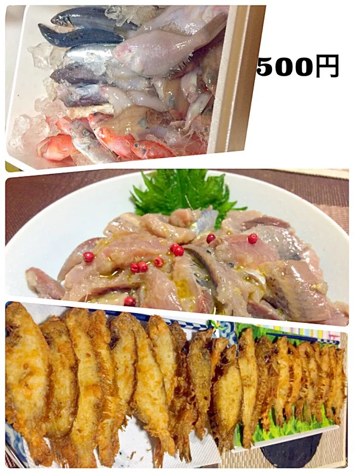 Snapdishの料理写真:イワシとトビウオのマリネ カレイの吹き流し🎏 沼津で鮮魚の買い物😁|佐野未起さん