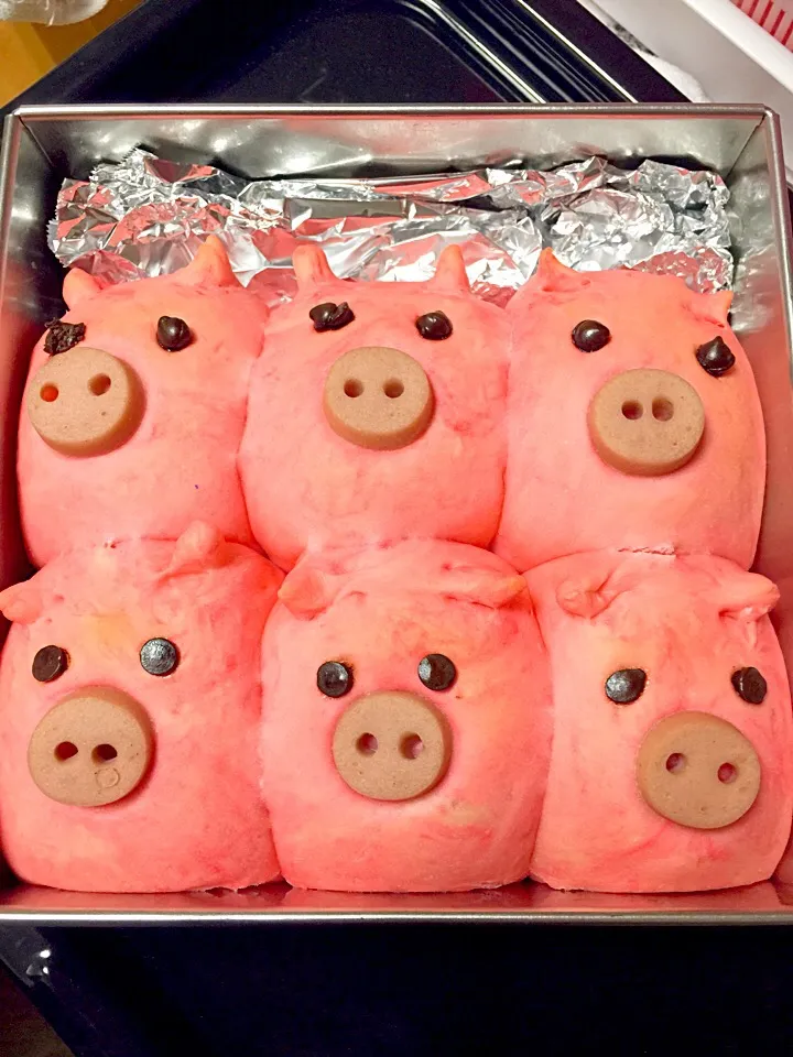 こぶたぱん|Chie Hayashiさん