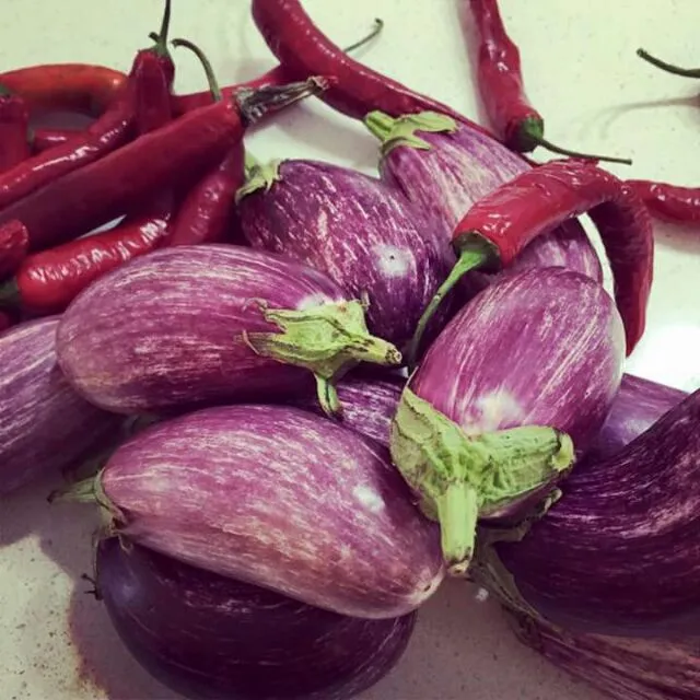 eggplants and chillis|CHUENCHAIさん