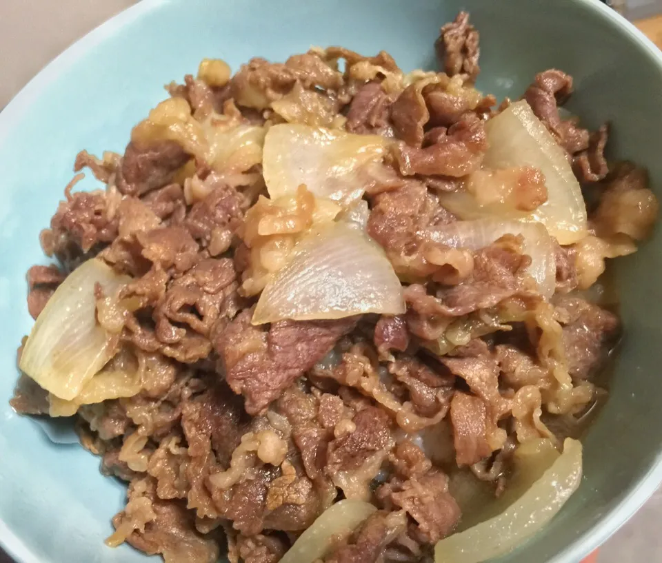 1日中寝てた日の締め括りはお手製の牛丼。うま。|たけうちさん