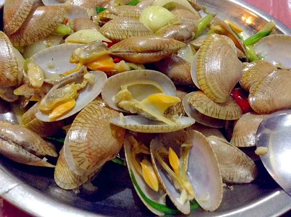 Kerang Lombok|Bambang Budiono Tjioさん