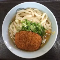 Snapdishの料理写真:『手打ちうどん久保』のかけ小+コロッケ|fujii saburoさん