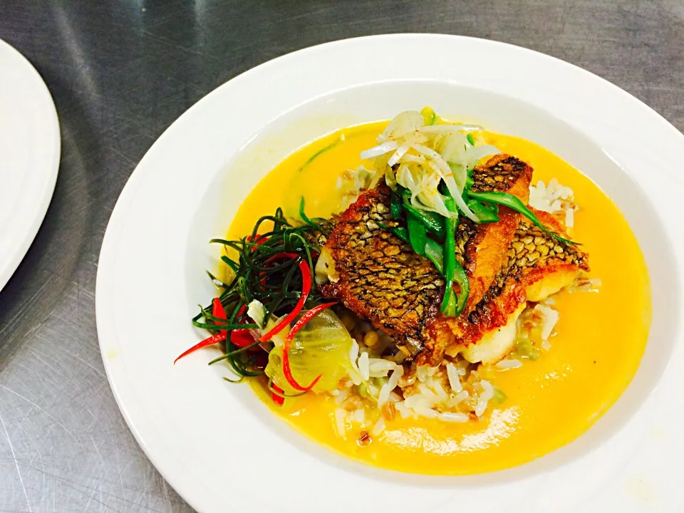 Pan seared Black Sea bass, butternut & lemon grass broth|Shawn F Doyle CECさん