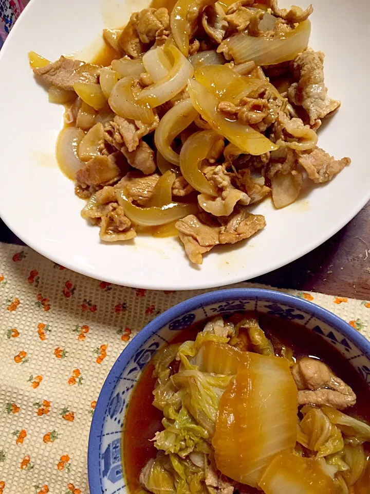 豚肉と白菜の煮浸し 豚肉と玉葱のソース炒め|掛谷節子さん