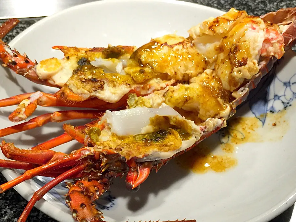 伊勢海老|まりたんさん