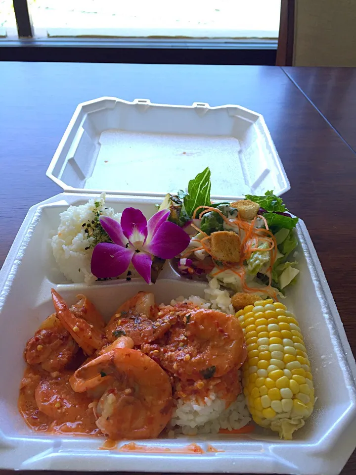 |Etsuko Aramakiさん