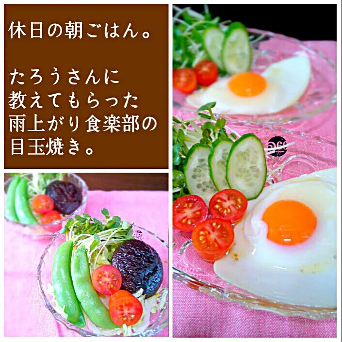 breakfast!! sunny side up!|和田 匠生さん