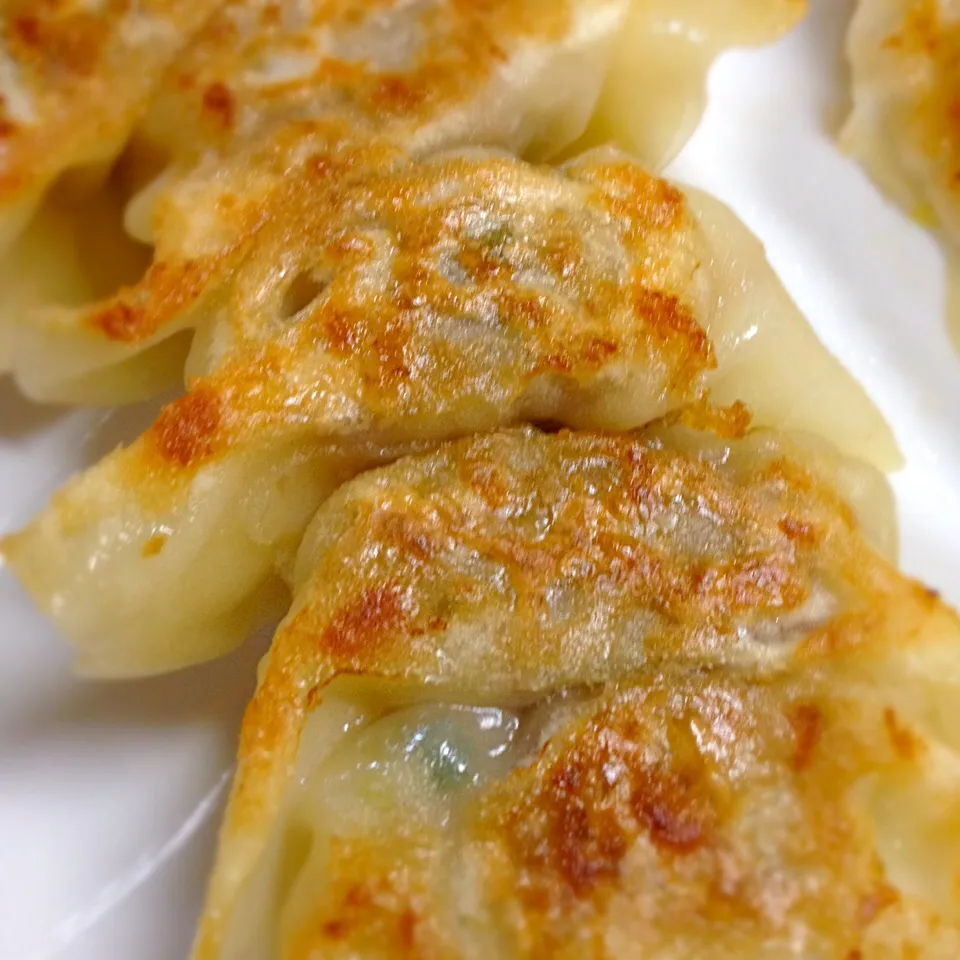 Snapdishの料理写真:Gyoza Pot Stickers 餃子|Mama Kathi Dinerさん