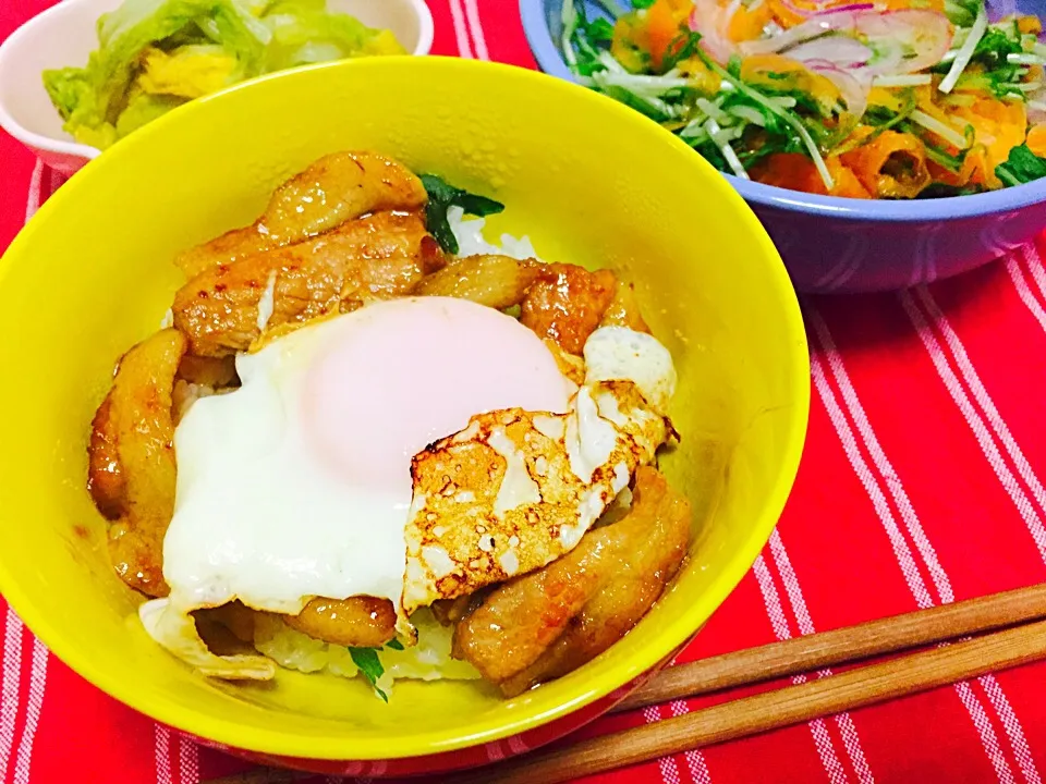 ✳︎ 今治B級グルメ 豚玉丼！風 ✳︎|ぜんたんさん