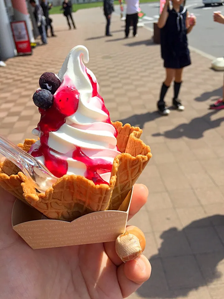 道の駅でブルーベリーソースのソフトクリームを〜（≧∇≦）|りーちさん