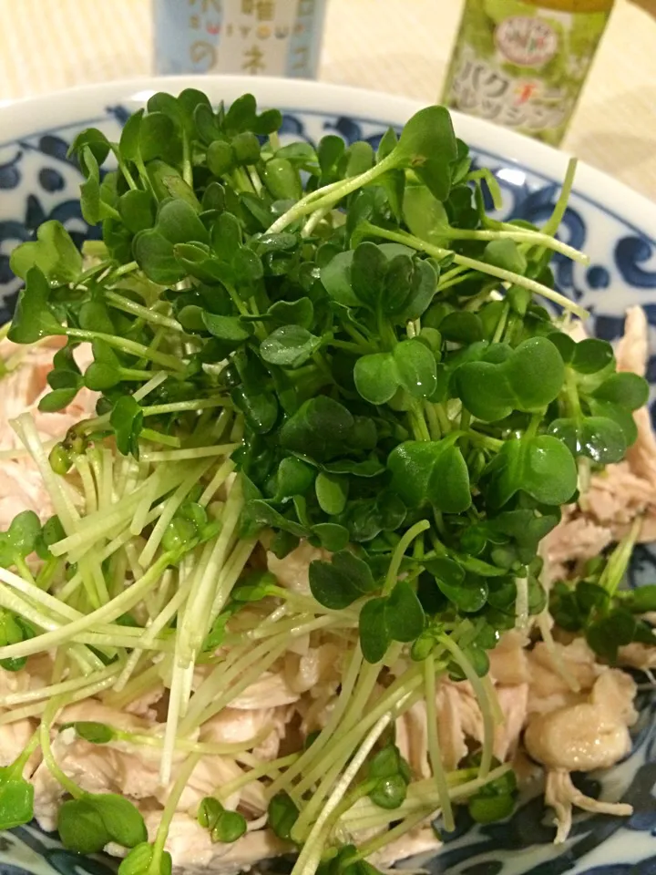 鶏胸肉とカイワレのサラダ~パクチードレッシングをかけて🌿|acoさん