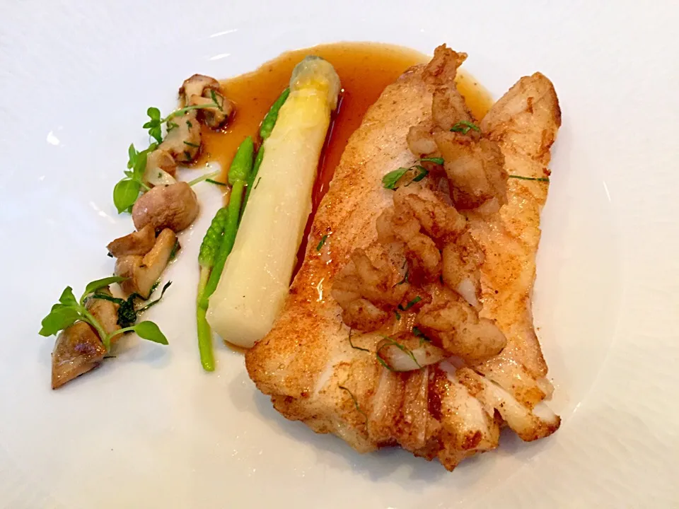 Wild turbot fish with mushrooms and white asparagus|sgさん