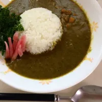 S&B 印度風ほうれん草の     グリーンカレー|ハッピーさん