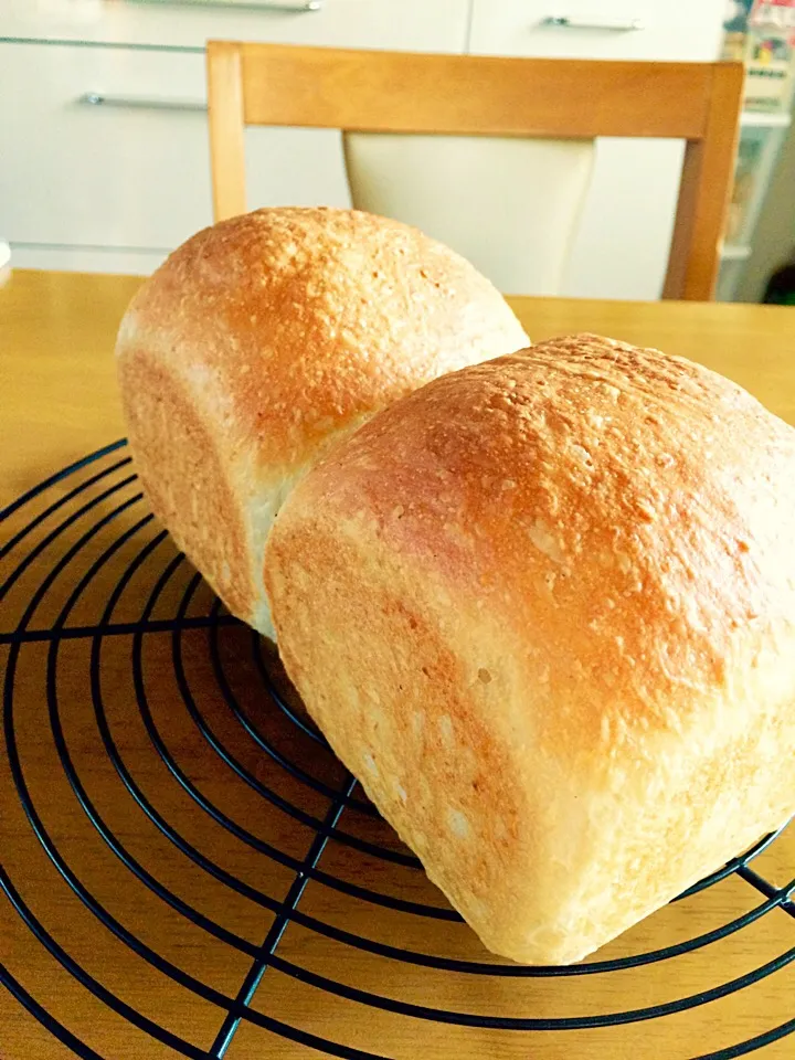 ココナッツ風味のミルク食パン🍞|ブー吉さん