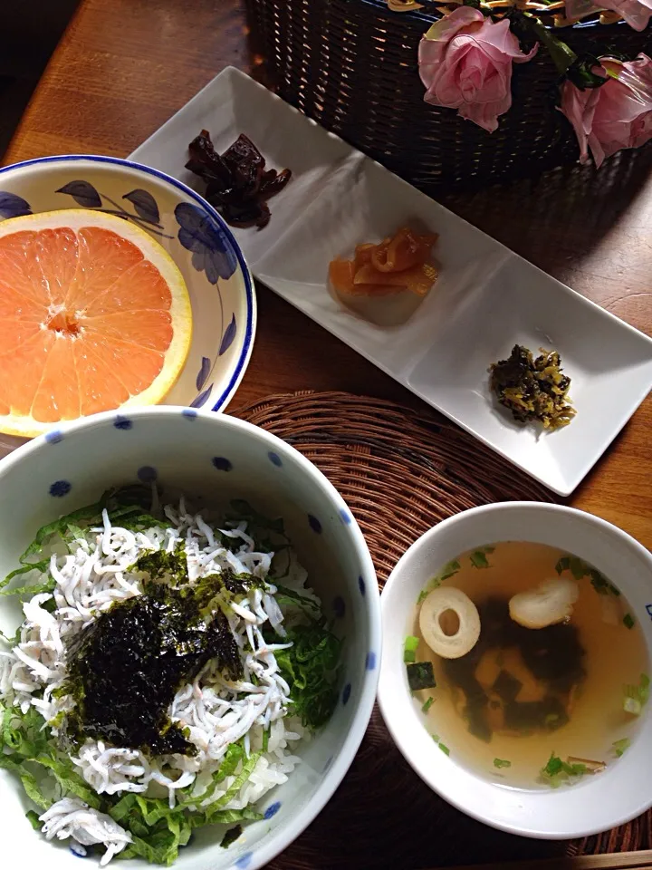 本日は 仕事が休みだったので  家で しらす丼ランチ😋🍴|Kumiko Shimomuraさん