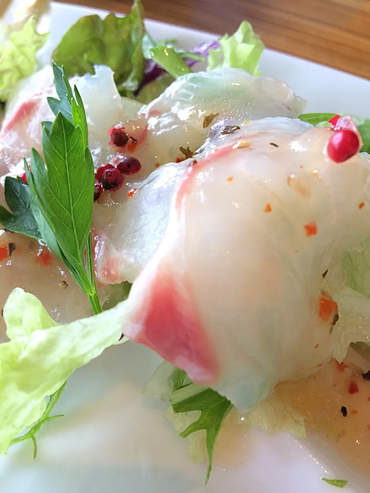 愛媛県で食べてきた鯛カルパッチョ|おはよう！あやです！さん