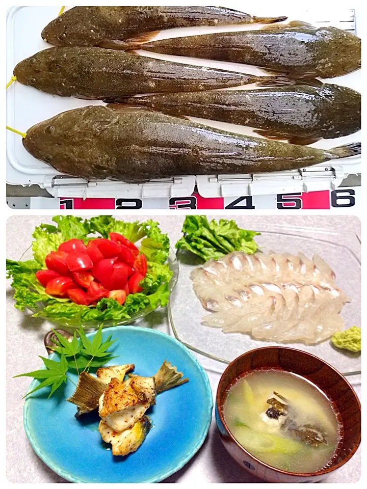 Snapdishの料理写真:コチが釣れたので…|Orie Uekiさん