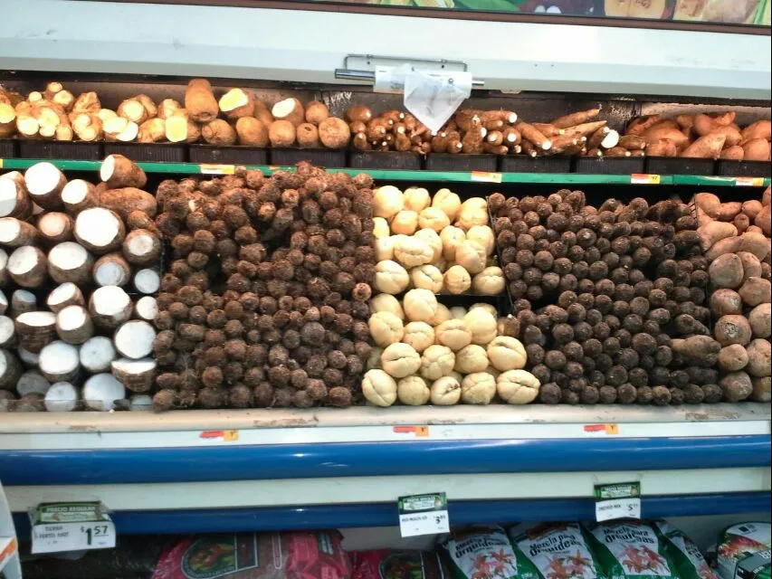 Snapdishの料理写真:At market in Puerto Rico  shopping for tonight's dinner the display you see all different types of root vegetables grown here on the island|Frank Ortizさん