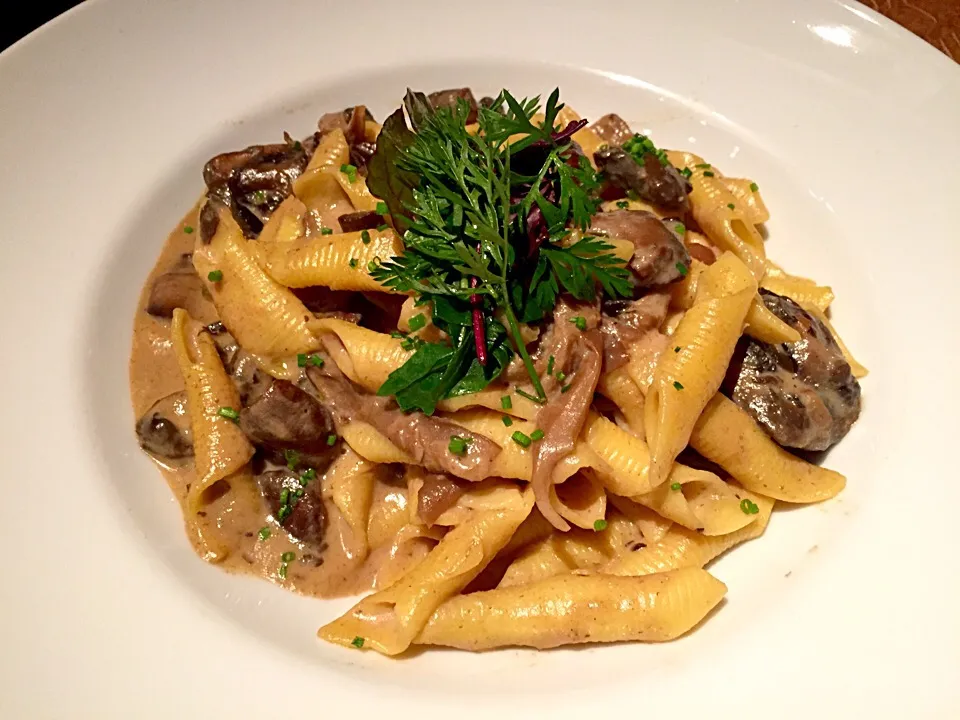 Champignons pasta|sgさん