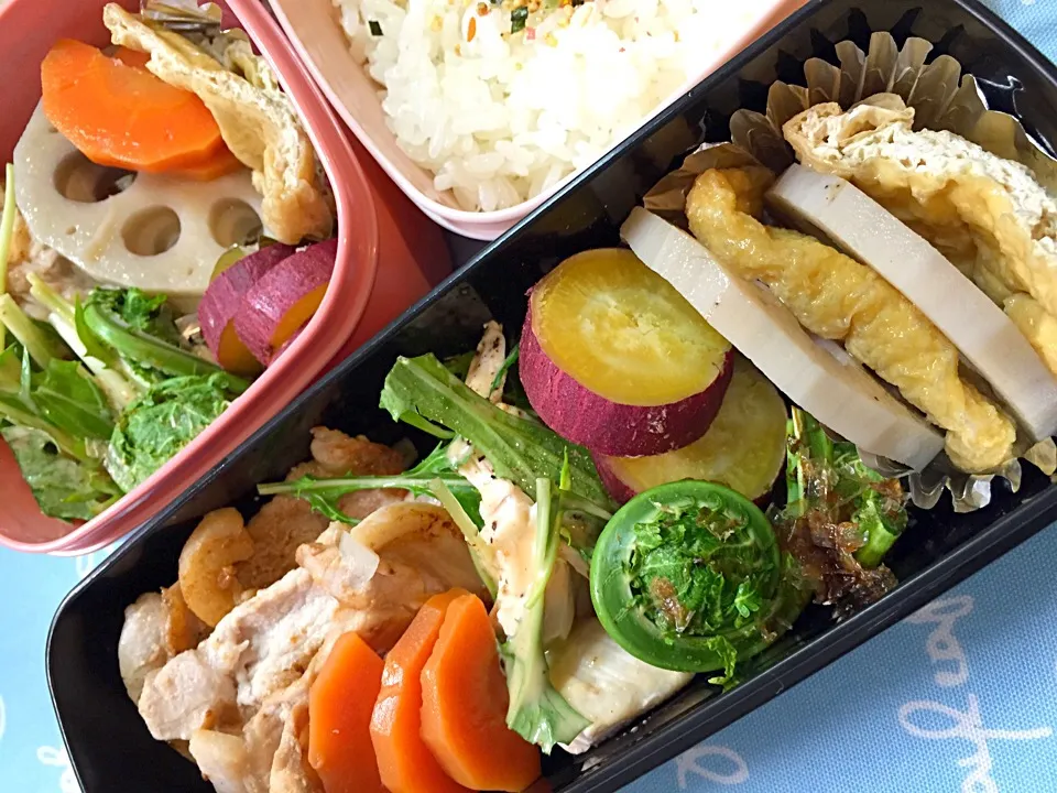 Snapdishの料理写真:今日のお弁当|chiinaさん