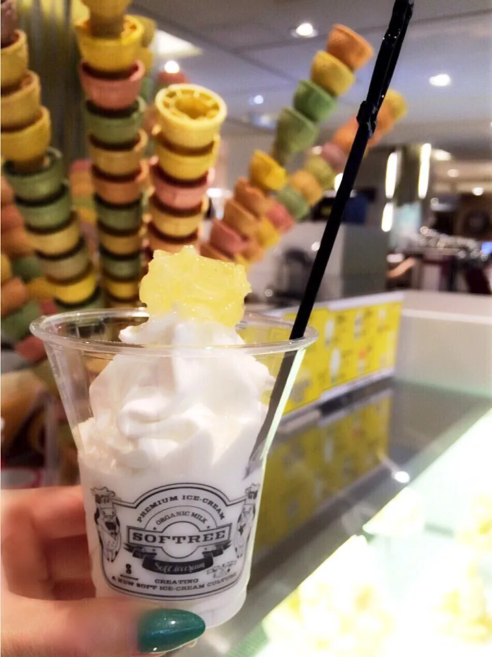 SOFTREE🐄🍼の
オーガニックソフトクリーム🍦👍honeycombトッピングで🍯🐝

#SOFTREE #SEOUL #LOTTEHOTEL #LOTTEdepartment
#カツカツ倶楽部👠✨
#食いしん坊の旅😋💕
#ソフトクリーム #softcream
#オーガニック #organic|chieさん