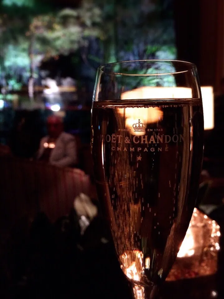 そろそろ帰りましょう👠✨
😉💕🍸✨

#champagne #シャンパーニュ
#Moetchandon #モエシャンドン
#lobbylounge #LOTTEHOTEL
#カツカツ倶楽部👠✨
#食いしん坊の旅😋💕|chieさん