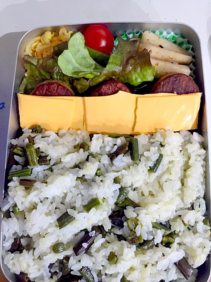 Snapdishの料理写真:パパお弁当🍱 ハンバーグ  チーズのせ、大根の漬け物、キムチもやし、プチトマト、わらび御飯|ch＊K*∀o(^^*)♪さん