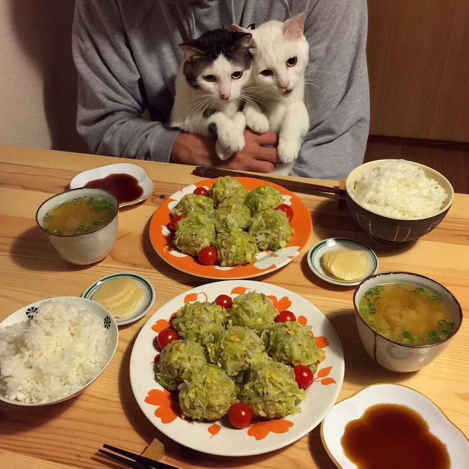 春キャベツで菊花シュウマイ。|naouさん