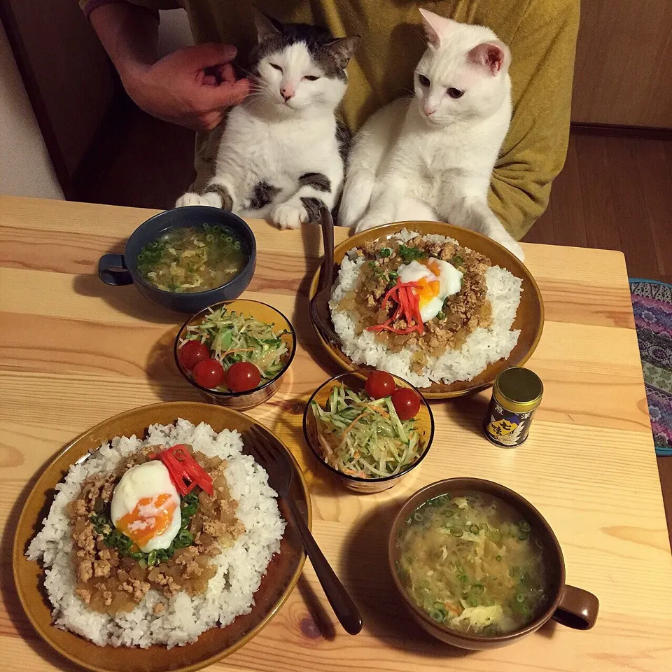 鶏ひき肉と温泉玉子で親子丼。|naouさん