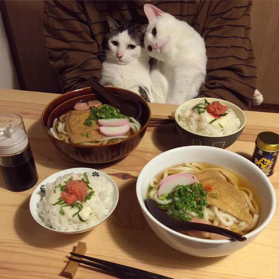 きつねうどん。明太子とろろご飯。|naouさん