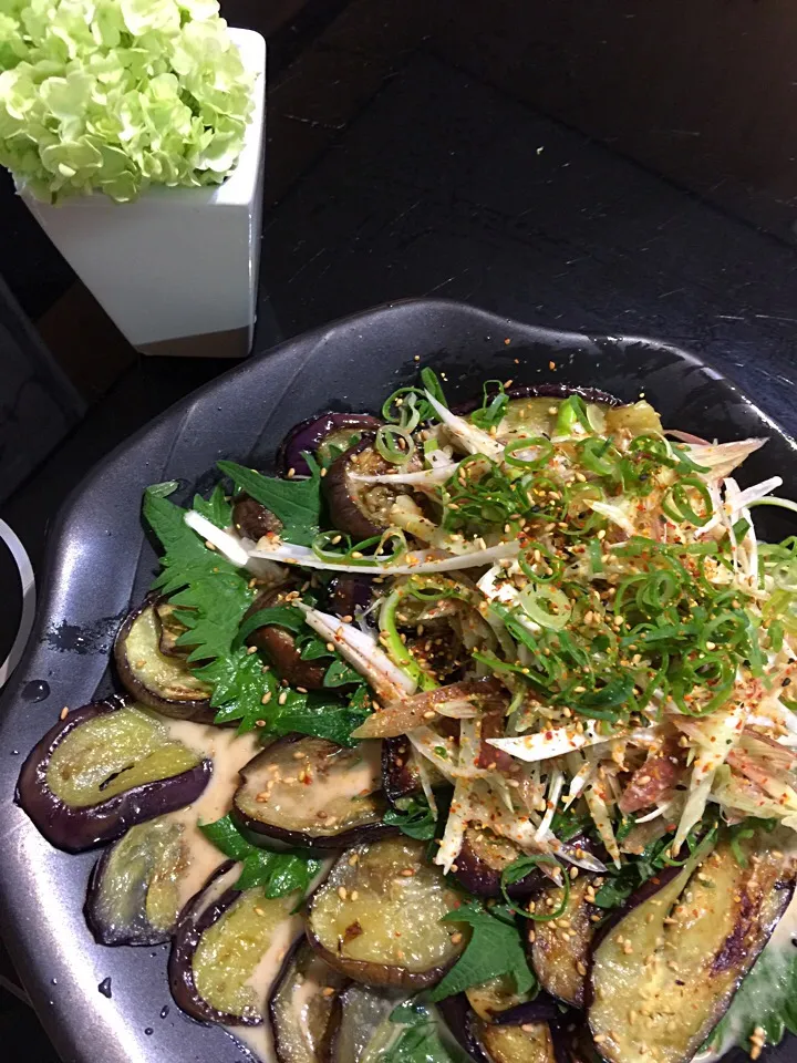 salada cafe のとっておきサラダレシピの中のなすと香味野菜のさっぱりごま風味|高戸 あおいさん