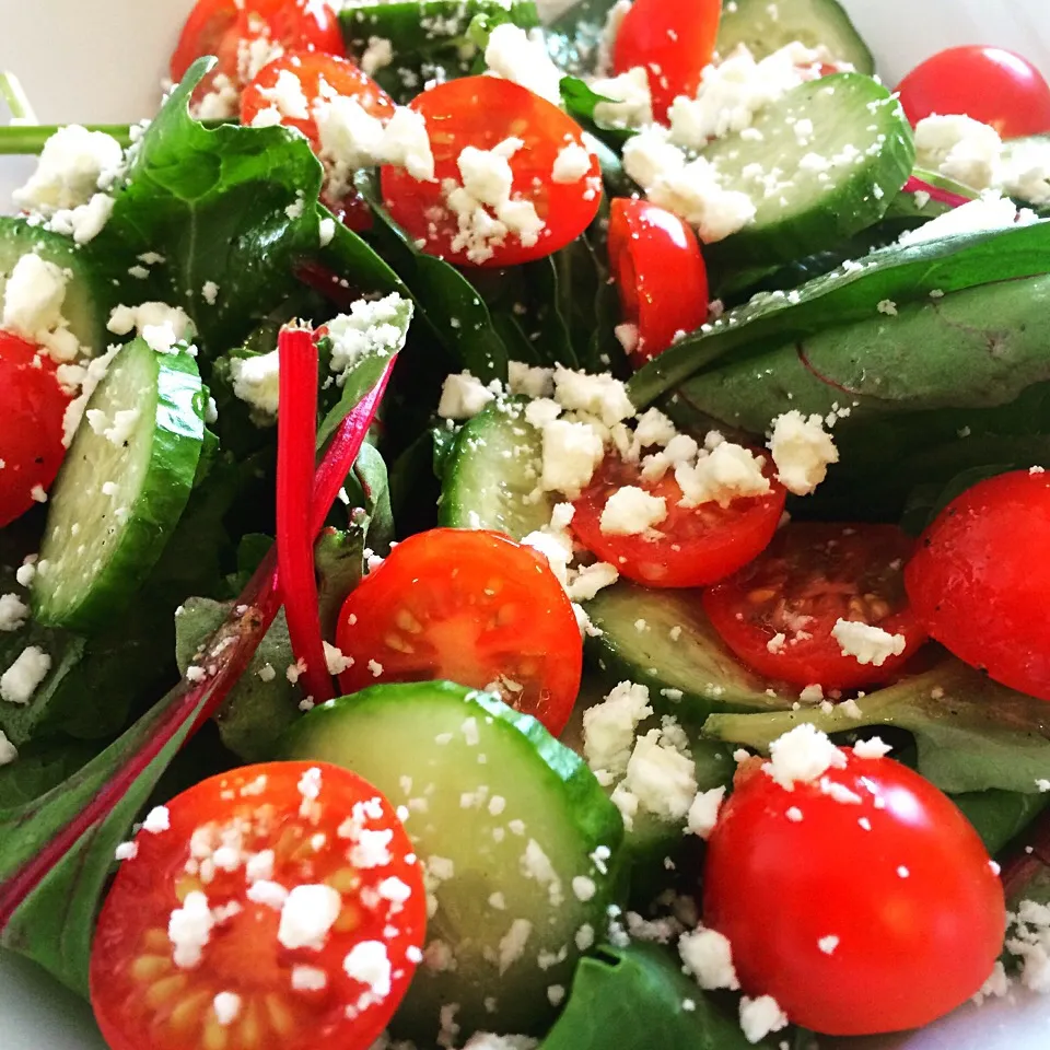 Kale, Spinach, Mizuna, sweet tomatoes, baby cucumbers, feta cheese, and homemade lemon vinaigrette|Curt Chillさん