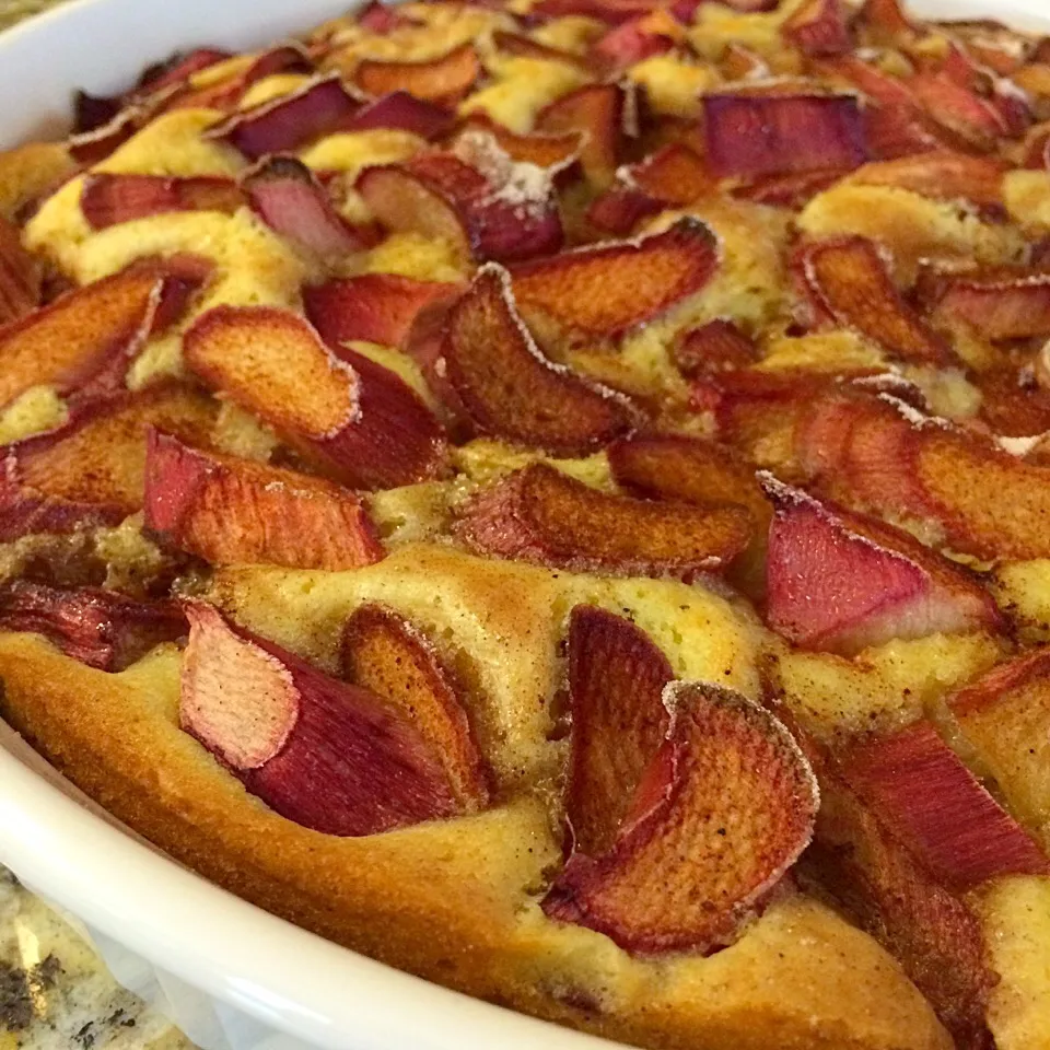 Simple Rhubarb Cake  sprinkled with cinnamon sugar.|Nanaさん