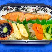 Snapdishの料理写真:鮭弁当|るるさん