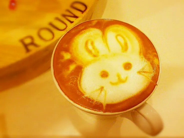 #cappuccino
#rabbit|pqtrangさん