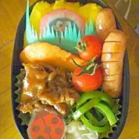 Snapdishの料理写真:あったもん弁当|nikoさん