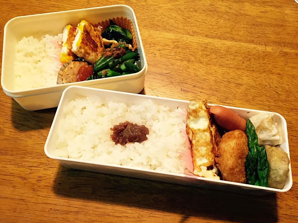 父と自分のお弁当🙌|むーこさん