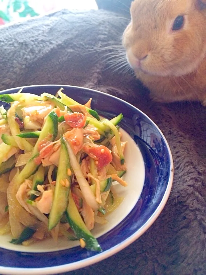 Snapdishの料理写真:梅とササミさっぱりサラダ|ＳＵＺＵＫＩさん