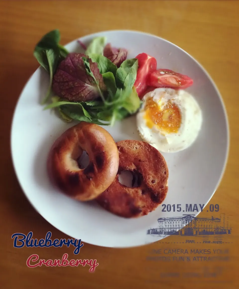 Snapdishの料理写真:blueberry&cranberry bagel|とんすけ😋さん