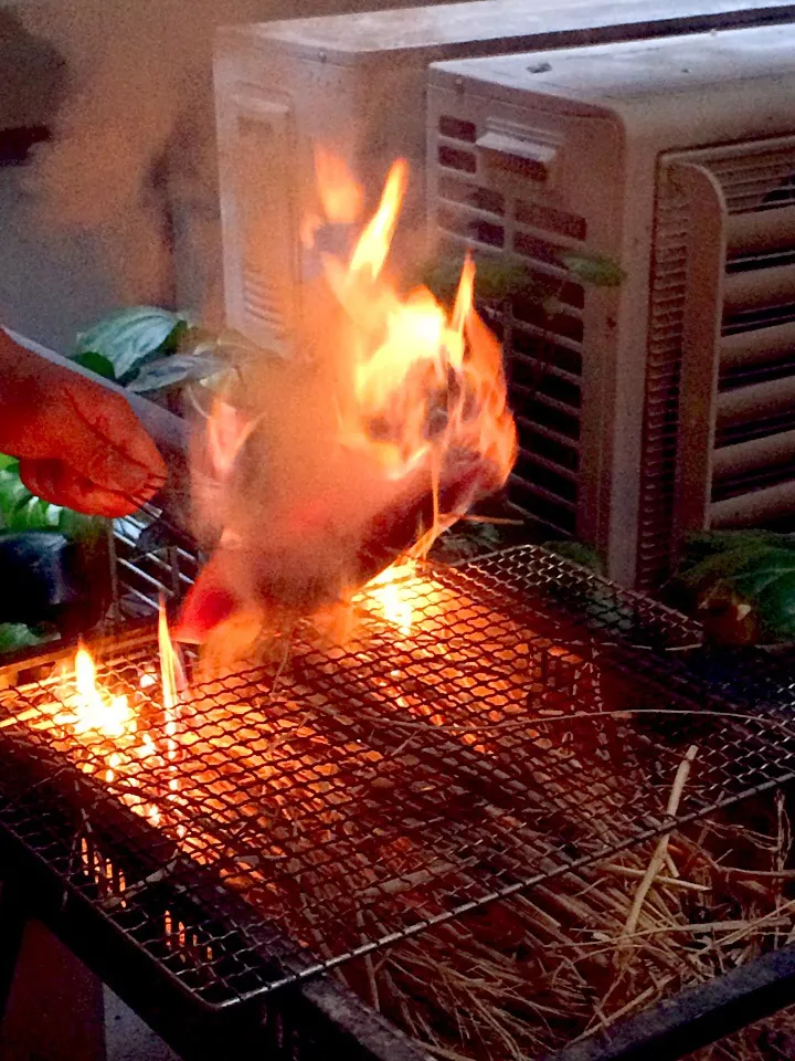 鰹のたたき 藁焼き中|tomomiさん