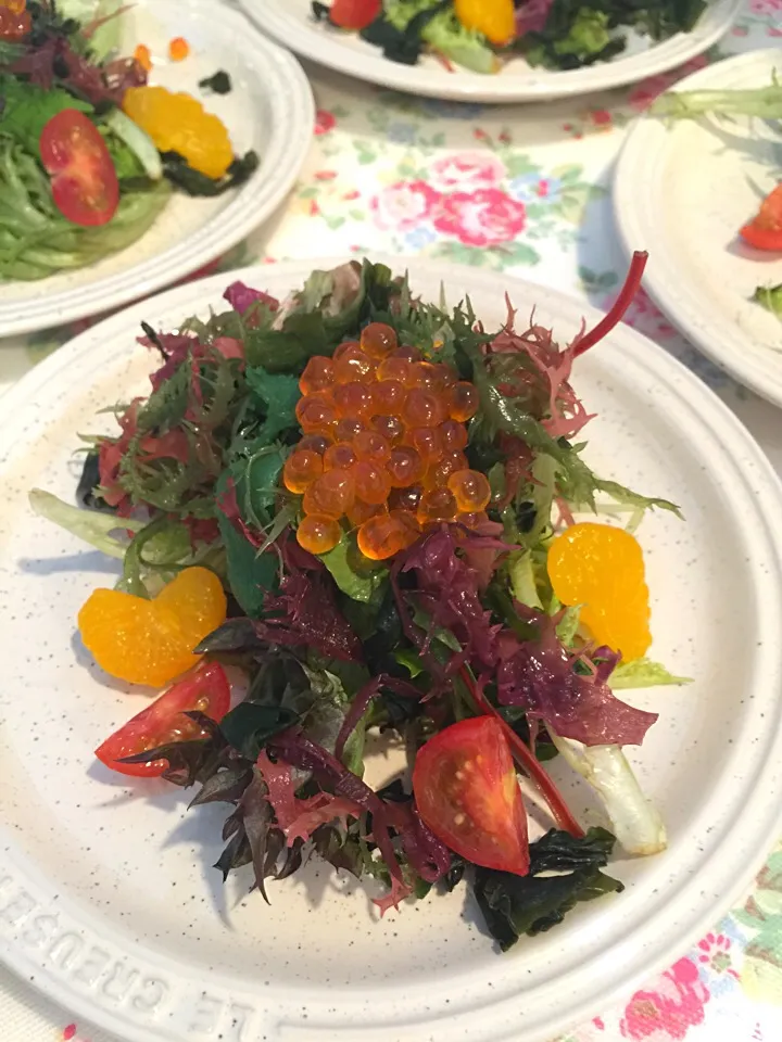 Salad|chef baobao from Singaporeさん