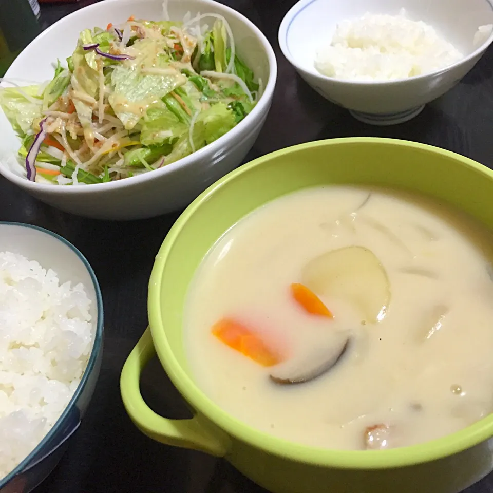 今日の晩ご飯は、エリンギ入り春野菜のクリームシチュー、簡単サラダ。|ゆえさん